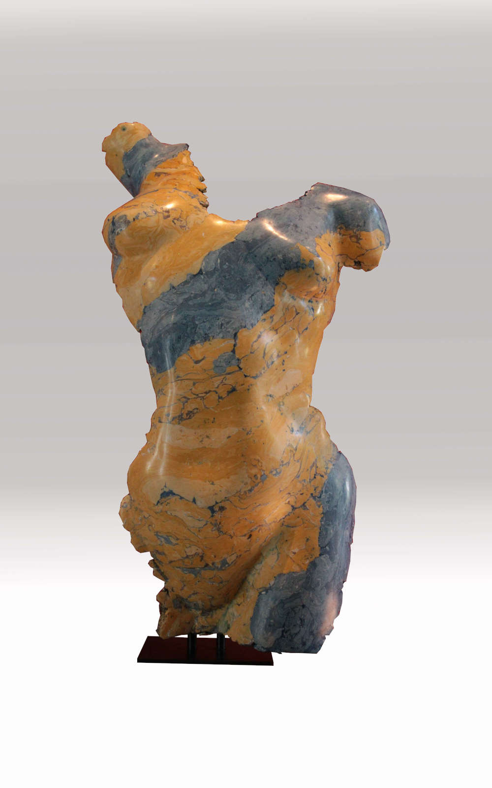 Torse_bleu_fond blanc_1