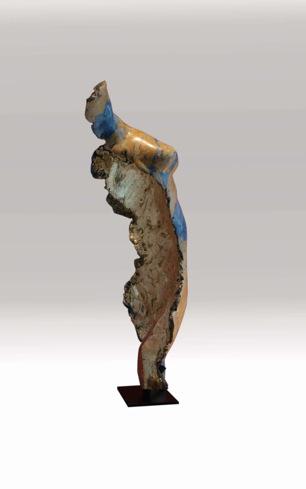Torse_bleu_fond blanc_3