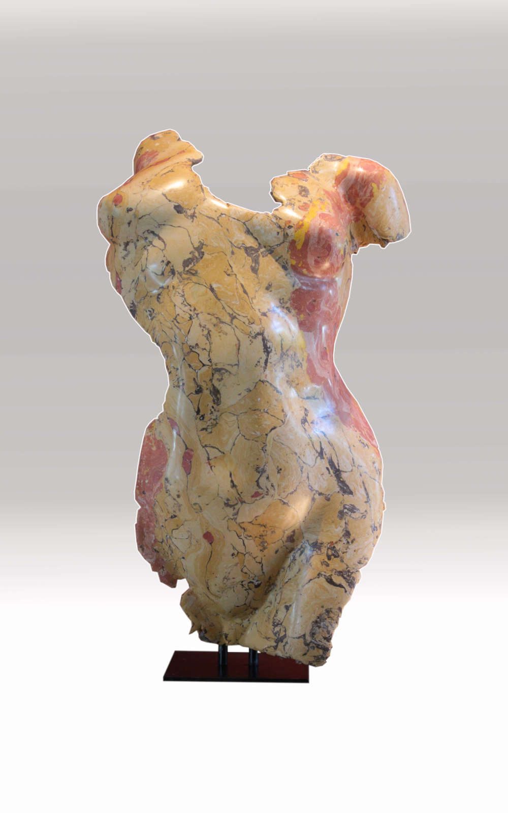 Torse_ocre_fond blanc_1